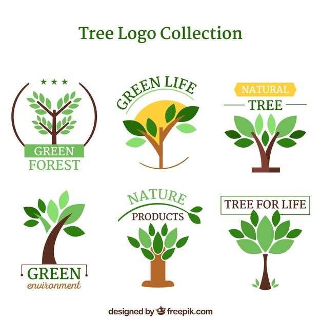 BSD Tree Inc – Exploring File System Innovations and Open Source Contributions