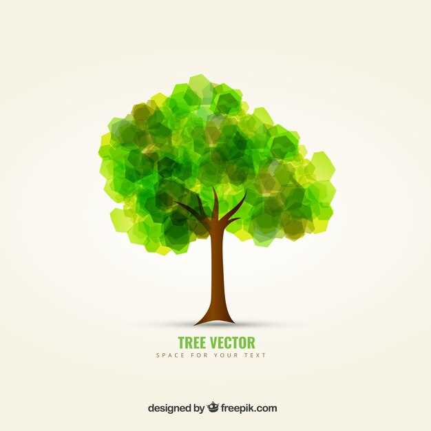 BSD Tree A Detailed Exploration of the Unix File System Hierarchy